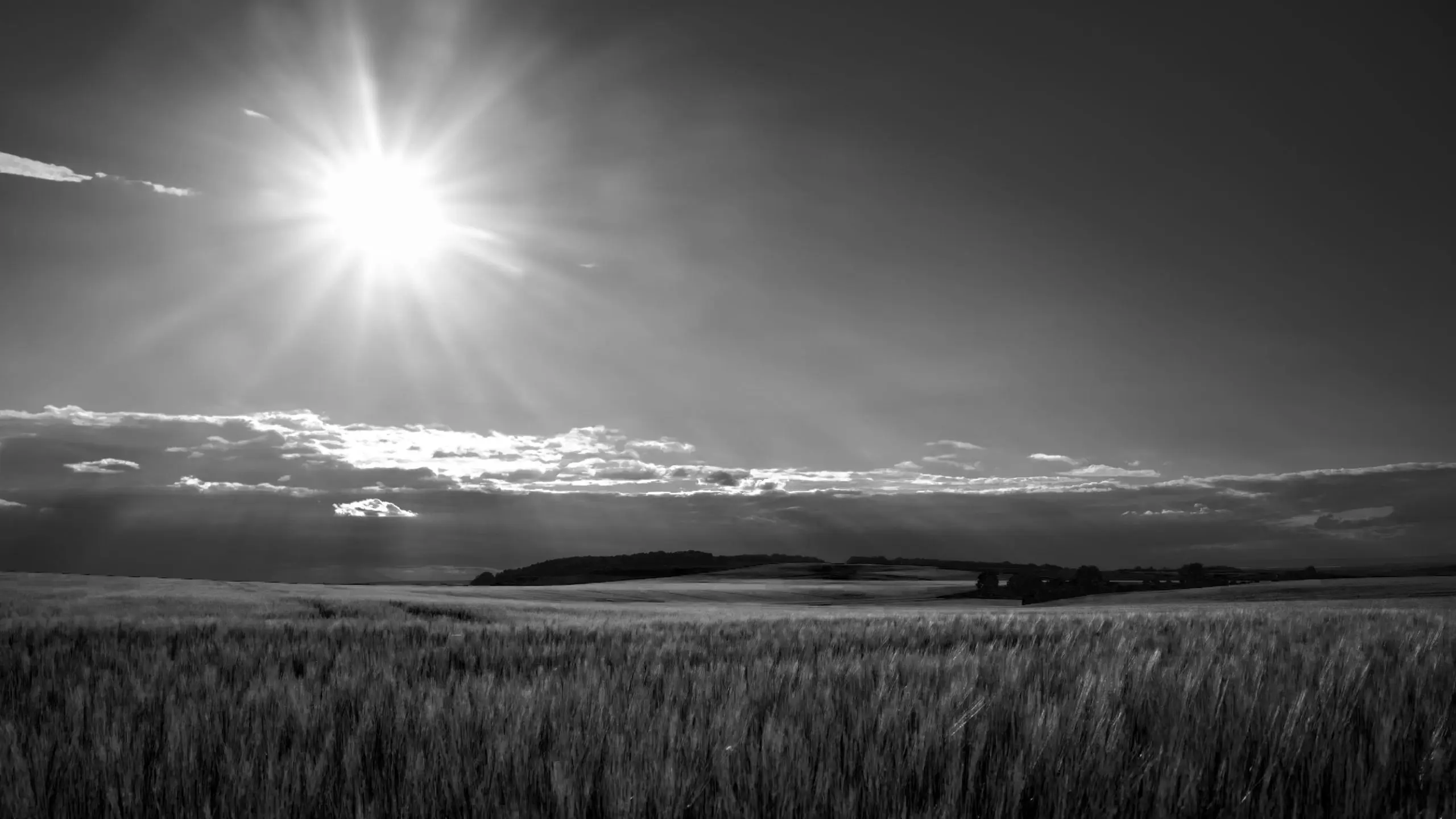 startseite-header-tmp-sw-bg